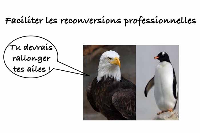 Les clés du social : Faciliter les transitions professionnelles