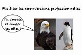 Les clés du social : Faciliter les transitions professionnelles